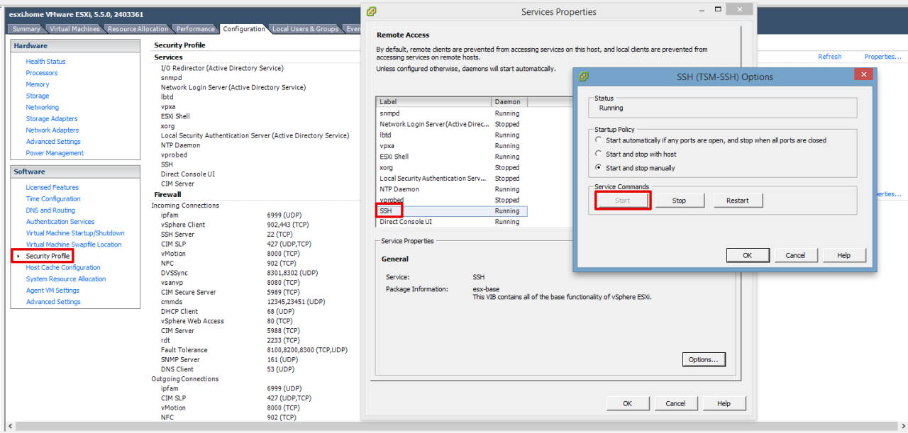 Starten des SSH-Servers am VMware ESXi