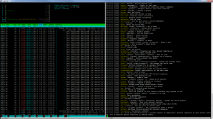 Screen