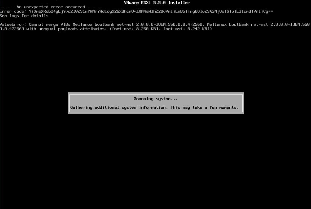 Fehlermeldung im VMware ESXi-Installer
