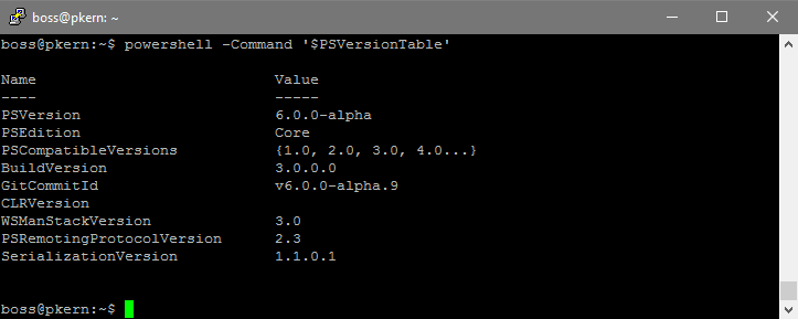 Direkte Ansteuerung der PowerShell